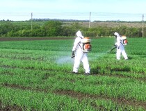 В Минераловодском районе провели инсектицидные обработки опытных посевов