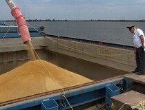 В Астраханской области объем экспорта зерна и продуктов его переработки вырос почти в 3 раза